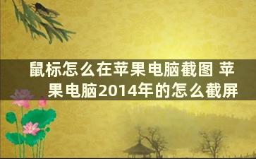 鼠标怎么在苹果电脑截图 苹果电脑2014年的怎么截屏